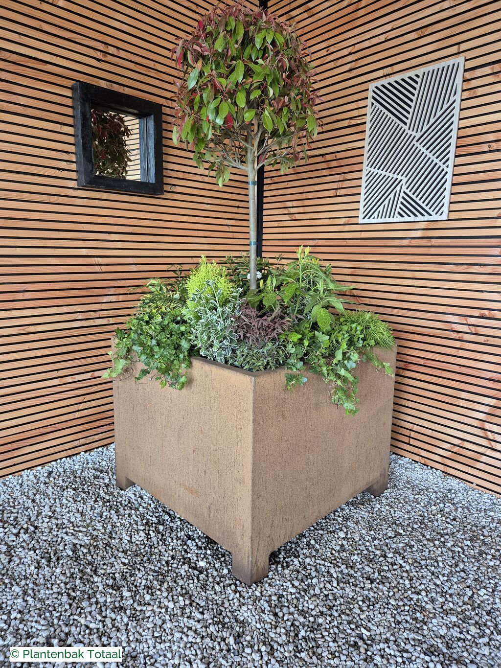 productfoto van plantenbak Cortenstaal Carrez - Planten Set