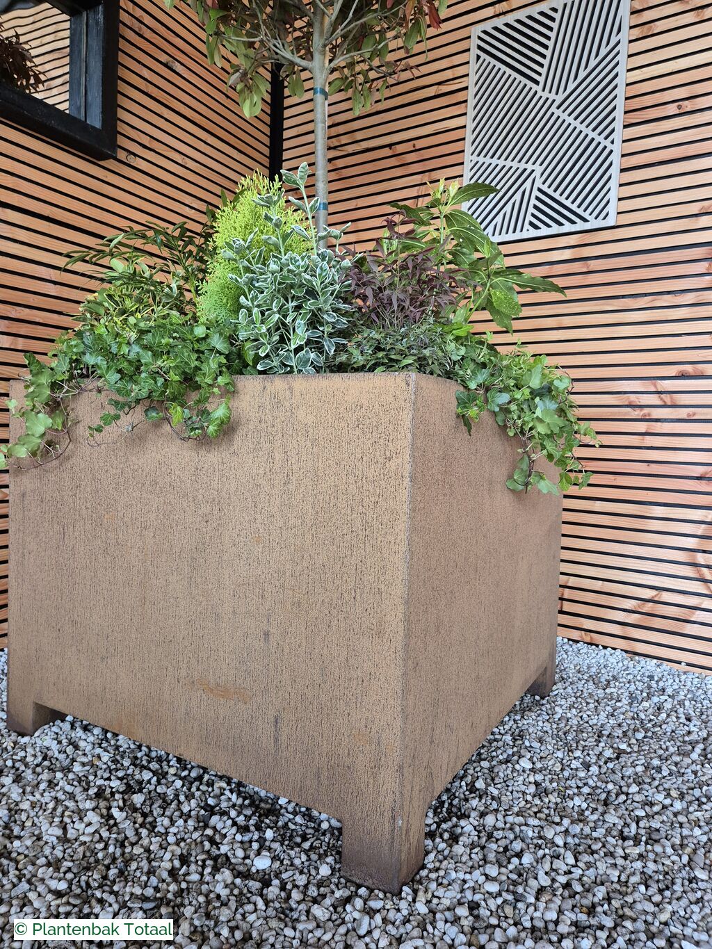productfoto van plantenbak Cortenstaal Carrez - Planten Set