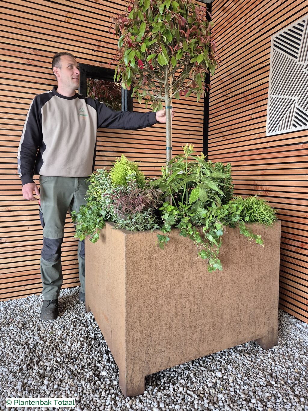 productfoto van plantenbak Cortenstaal Carrez - Planten Set