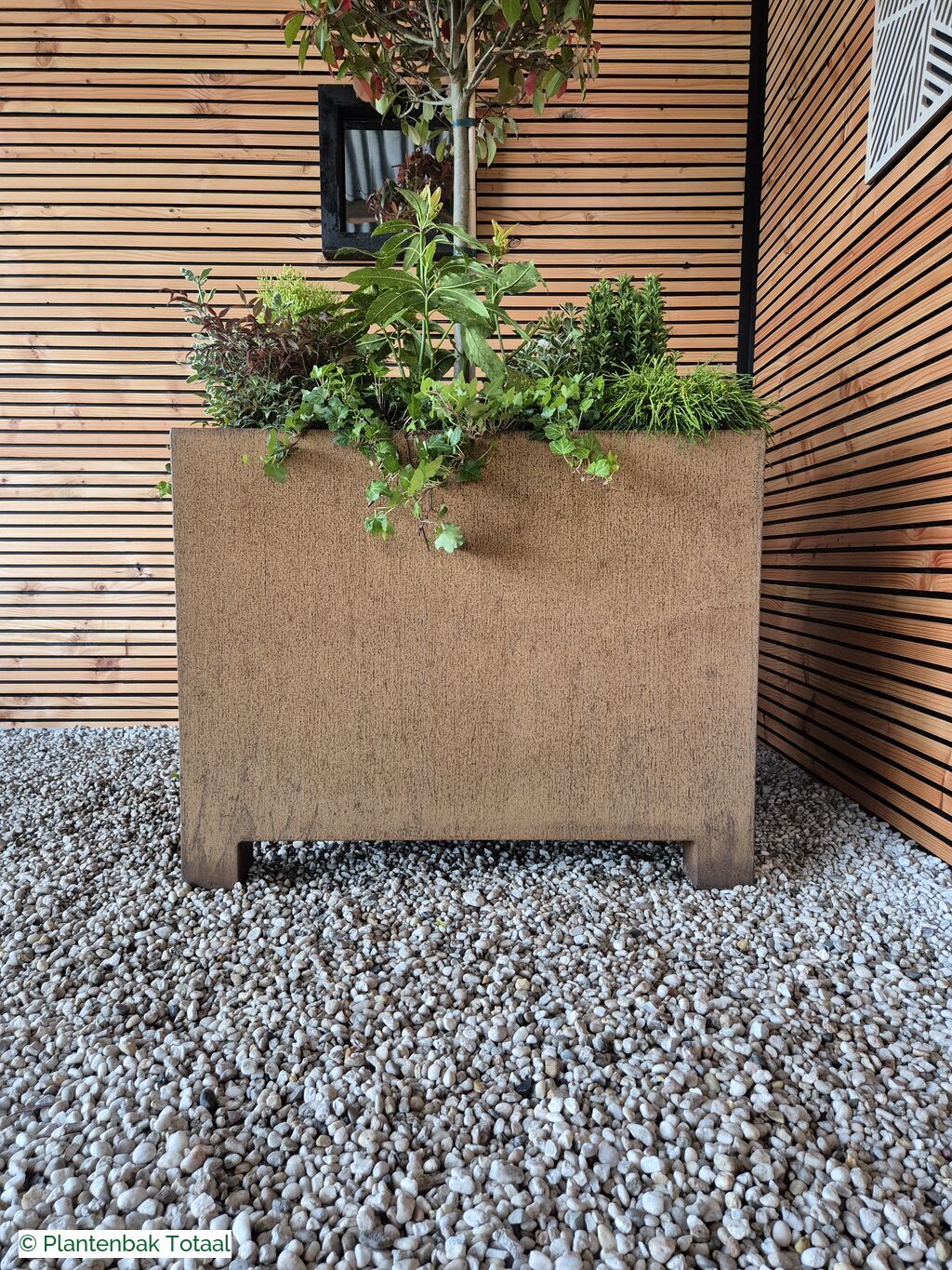 productfoto van plantenbak Cortenstaal Carrez - Planten Set