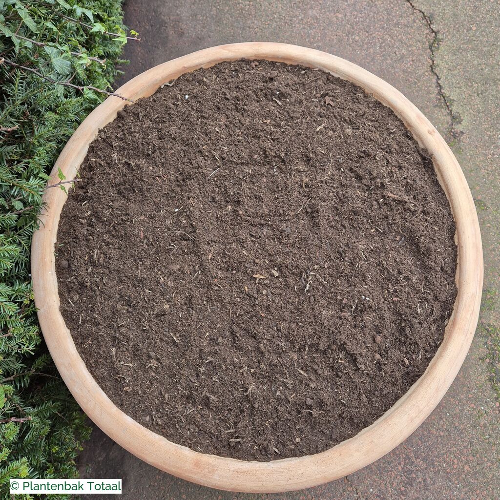 productlijn foto van plantenbak TC Pot rond
