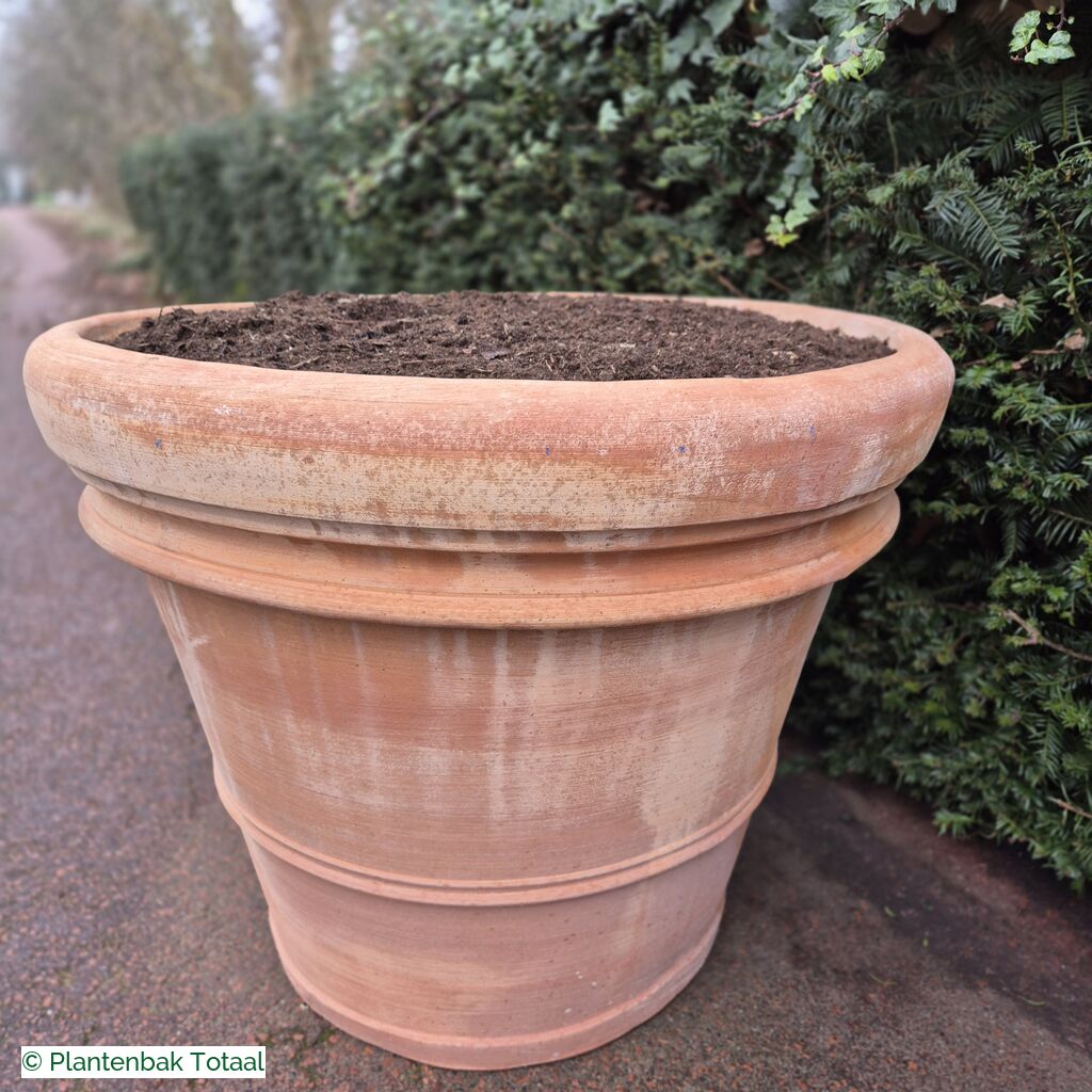 productlijn foto van plantenbak TC Pot rond