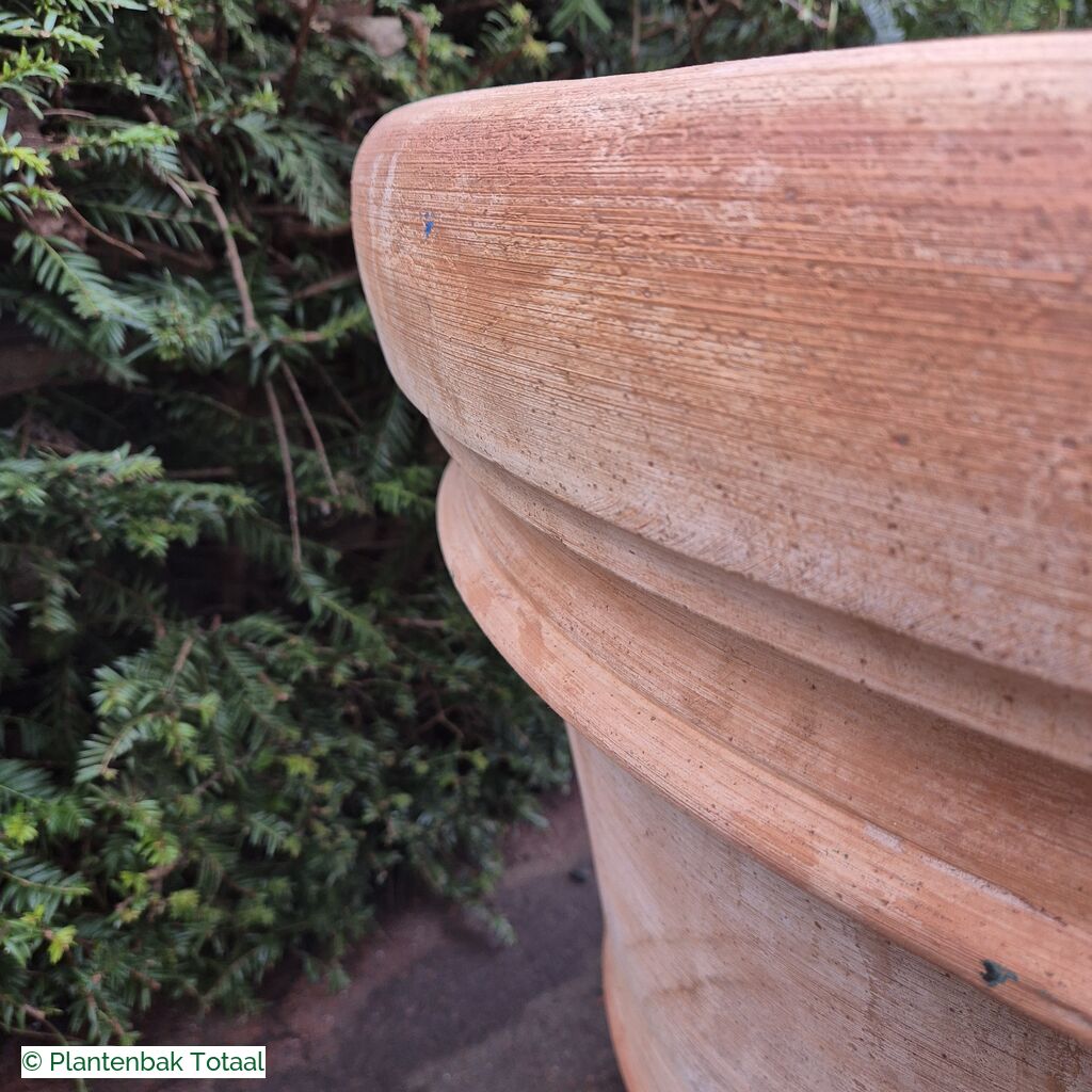 productlijn foto van plantenbak TC Pot rond