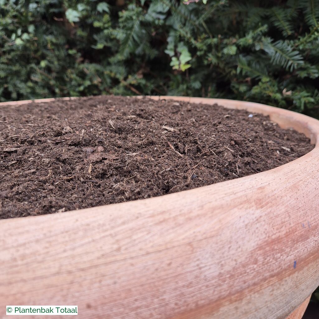 productlijn foto van plantenbak TC Pot rond