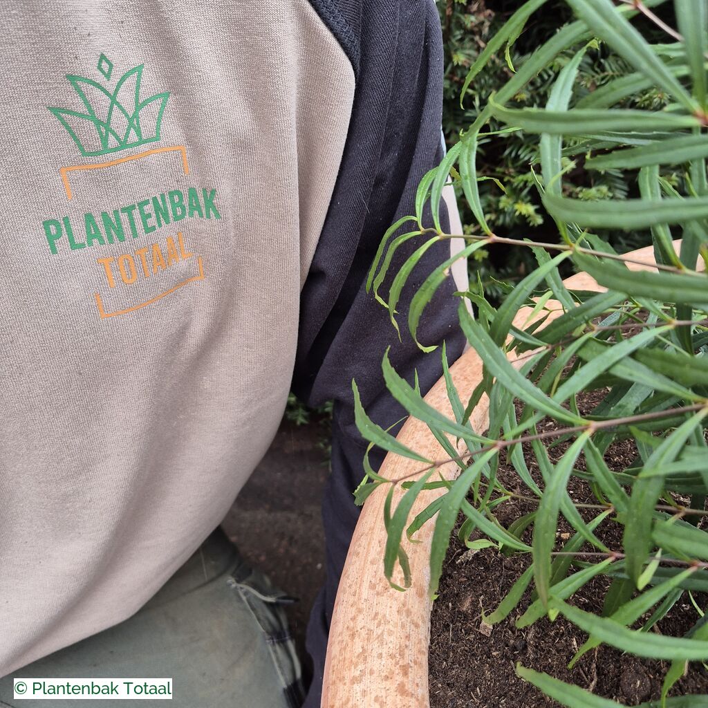 productlijn foto van plantenbak TC Pot rond