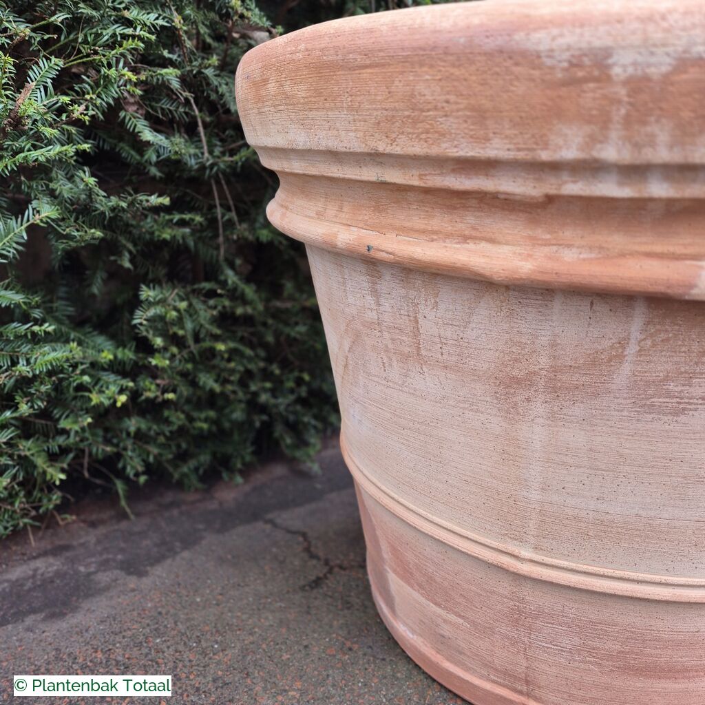 productlijn foto van plantenbak TC Pot rond