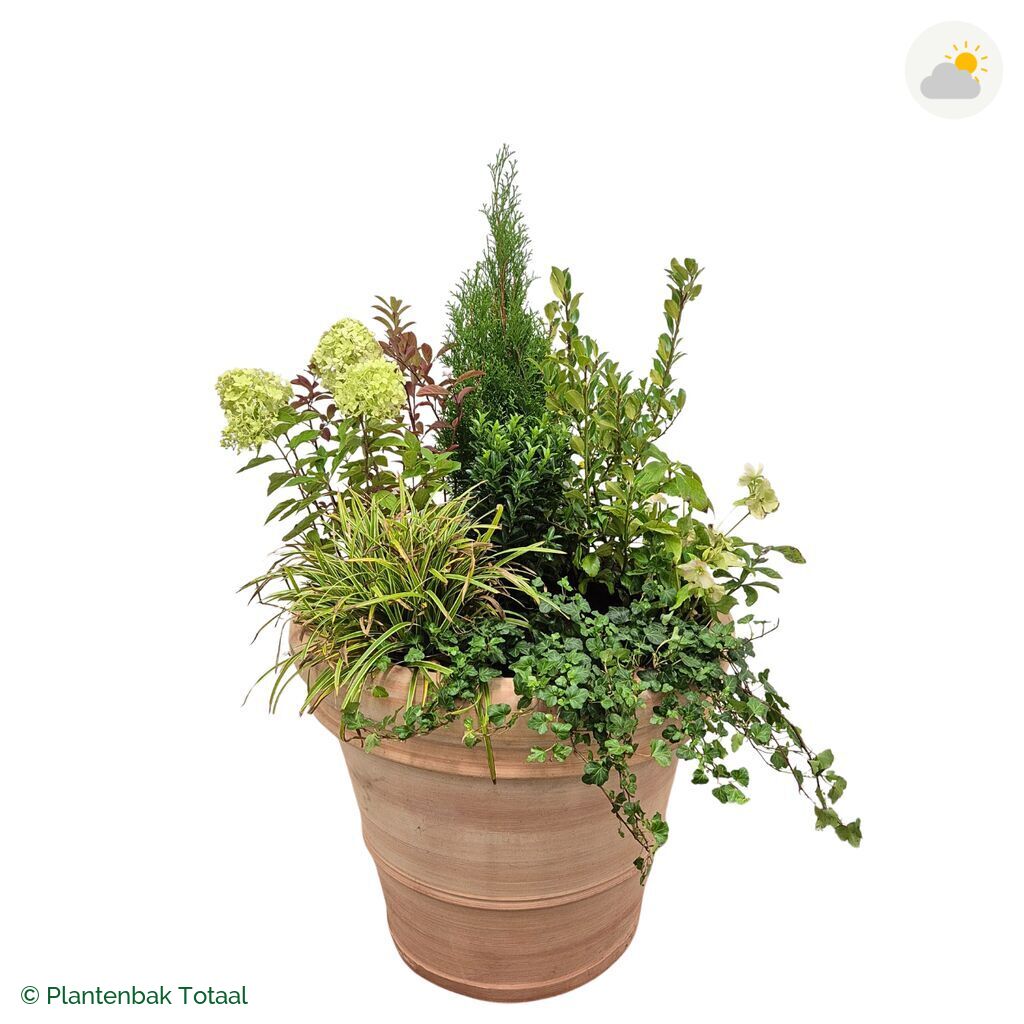 productfoto van plantenbak Terracotta Pot Set Ardennen