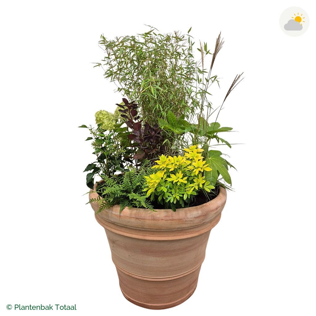 productfoto van plantenbak Terracotta Pot Set Bohemen