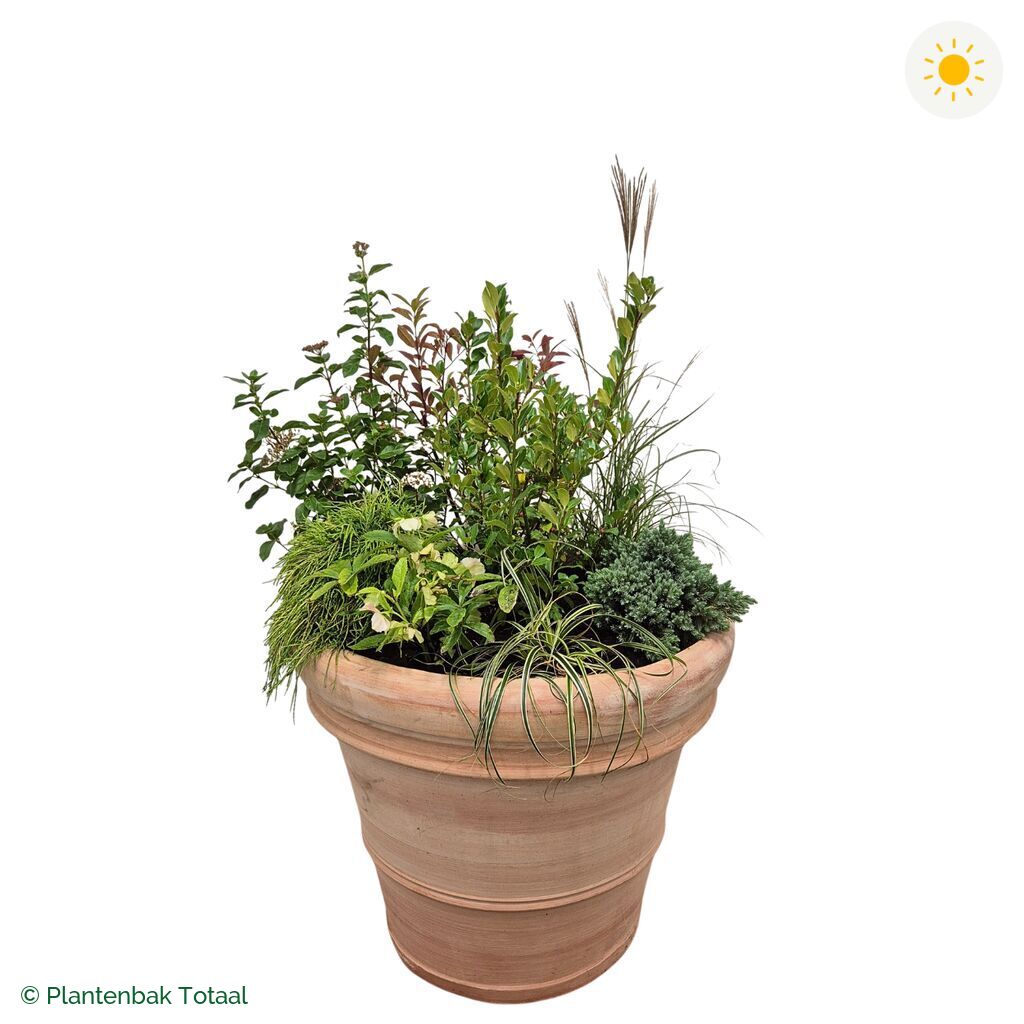 productfoto van plantenbak Terracotta Pot Set Bretagne