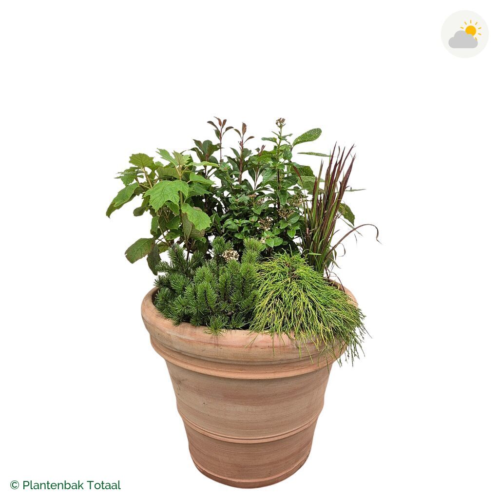 productfoto van plantenbak Terracotta Pot Set Eifel