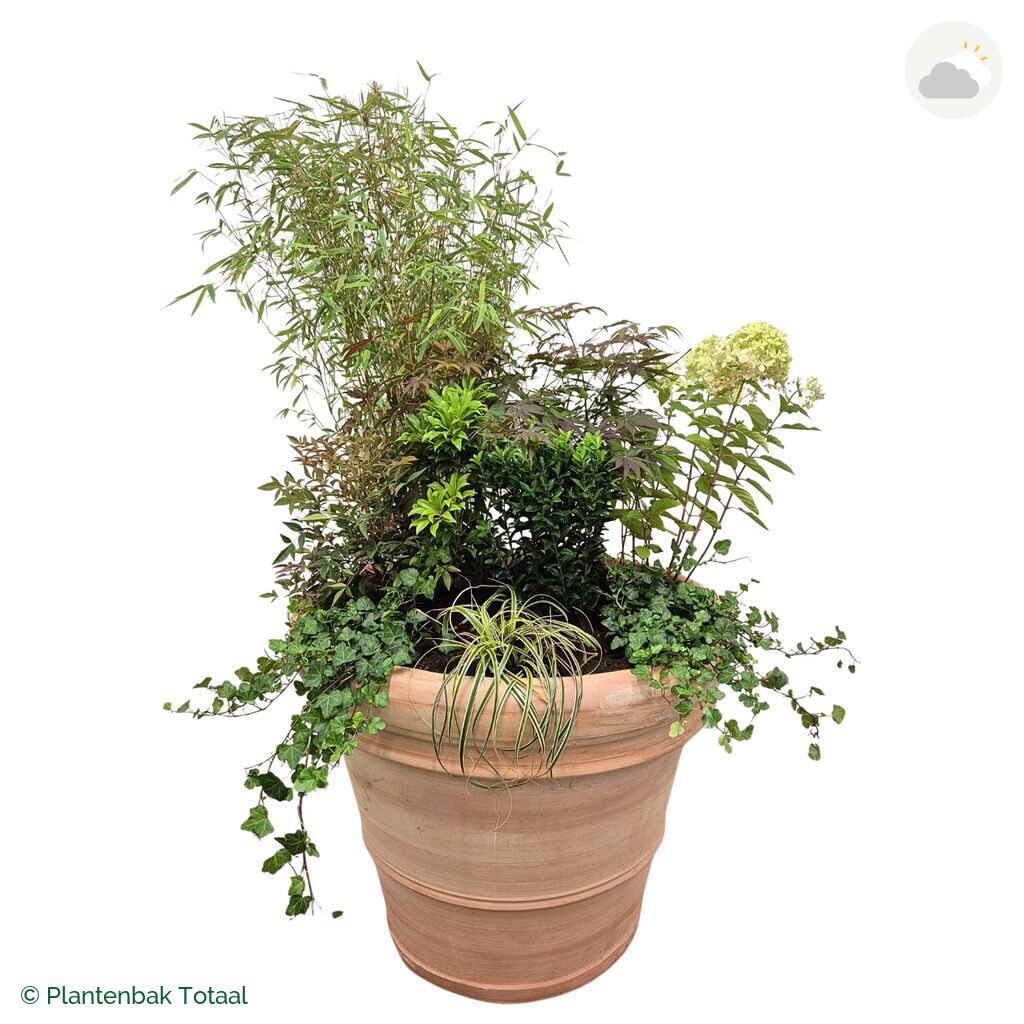 productfoto van plantenbak Terracotta Pot Set Himalaya
