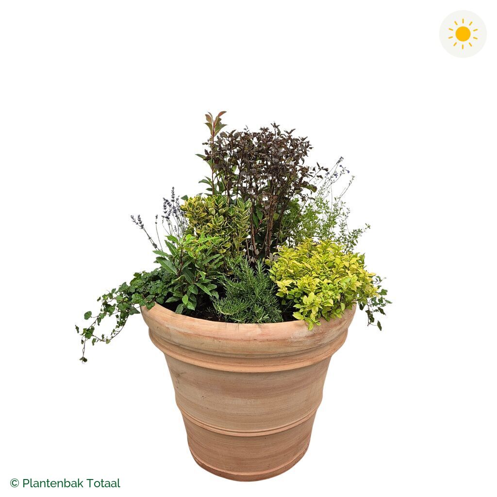 productfoto van plantenbak Terracotta Pot Set Provence