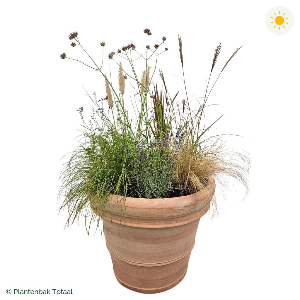 productfoto van plantenbak Terracotta Pot Set Savanne
