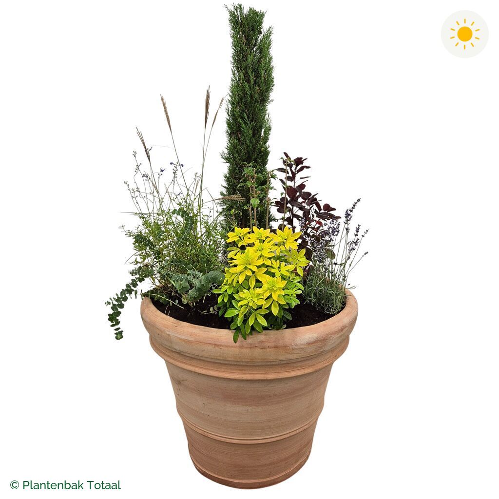 productfoto van plantenbak Terracotta Pot Set Toscane