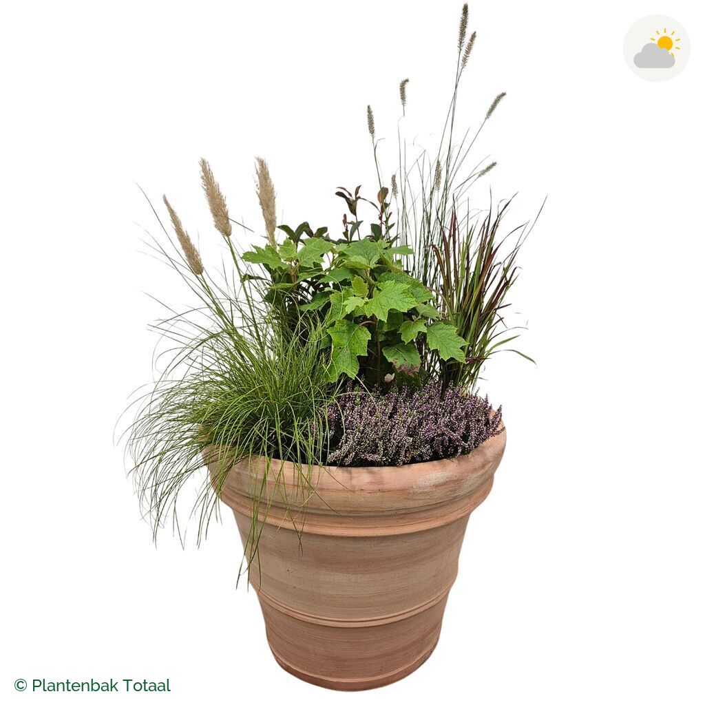 productfoto van plantenbak Terracotta Pot Set Veluwe