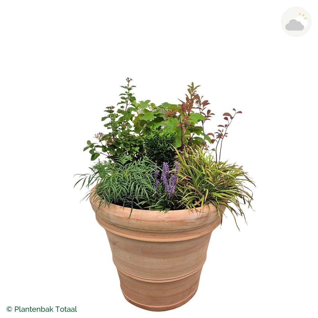 productfoto van plantenbak Terracotta Pot Set York